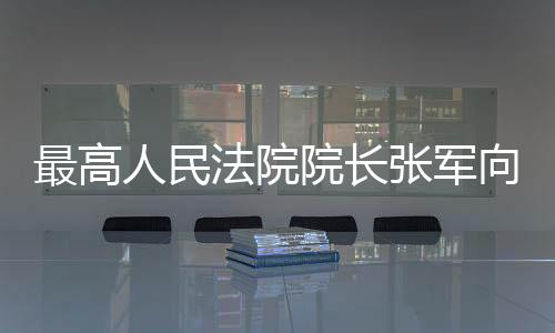最高人民法院院長張軍向大會作最高人民法院工作報告