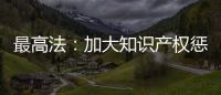 最高法：加大知識產權懲罰性賠償力度