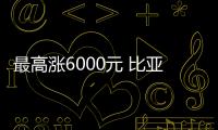 最高漲6000元 比亞迪海豚等多款價格將上調(diào)