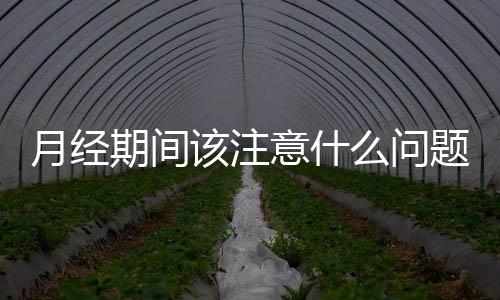 月經期間該注意什么問題