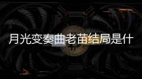 月光變奏曲老苗結(jié)局是什么？月光變奏曲晝川為什么和元月社簽約？