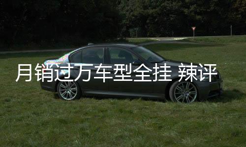 月銷過萬車型全掛 辣評(píng)長(zhǎng)安汽車7月銷量