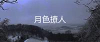 月色撩人