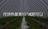 月餅熱量高嗎?減肥可以吃嗎（月餅熱量高嗎）