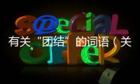 有關“團結”的詞語（關于團結的詞語）