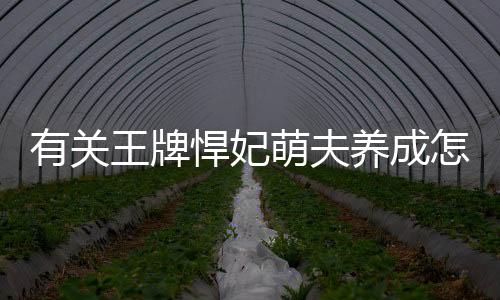 有關(guān)王牌悍妃萌夫養(yǎng)成怎么解讀?