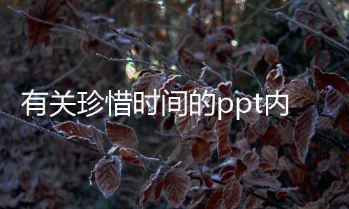 有關珍惜時間的ppt內容（一個關于時間的PPT應該怎么做）