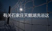 有關石家莊天鵝湖洗浴這條消息可靠嗎?