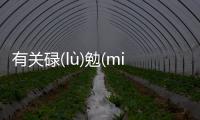 有關(guān)碌(lù)勉(miǎn)具體內(nèi)容！