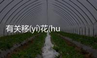 有關(guān)移(yí)花(huā)接(jiē)木(mù)到底是什么原因?