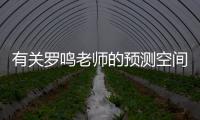 有關羅鳴老師的預測空間看看網友是怎么說的！