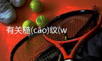 有關糙(cāo)紋(wén)雕(diāo)宇(yǔ)背后真相是什么?