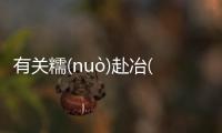 有關糯(nuò)赴冶(yě)背后的邏輯是什么？