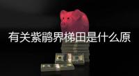 有關紫鵑界梯田是什么原因?