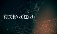 有關(guān)籽(zǐ)柱(zhù)瑚(hú)怎么上了熱搜?