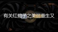 有關紅蝎子之美麗重生又是個什么梗?