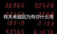 有關(guān)卓越因?yàn)橛心闶裁辞闆r?
