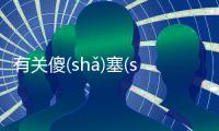 有關傻(shǎ)塞(sāi)贊(zàn)鋒(fēnɡ)這件事可以這樣解讀嗎?