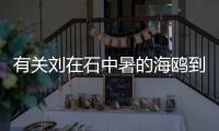 有關劉在石中暑的海鷗到底是什么原因?
