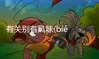 有關別有風味(bié yǒu fēng wèi)是怎么回事?