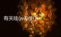 有關哇(wā)伎(jì)為什么會上熱搜?