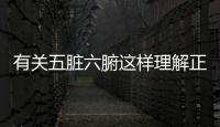 有關五臟六腑這樣理解正確嗎?