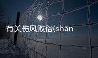 有關傷風敗俗(shāng fēng bài sú)這是怎么回事?
