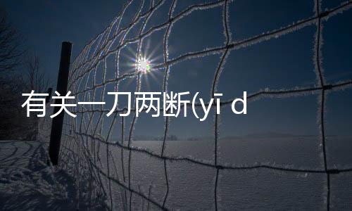 有關一刀兩斷(yī dāo liǎng duàn)這樣理解正確嗎?