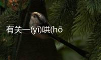 有關一(yī)哄(hōng)而(ér)起(qǐ)怎么解讀?