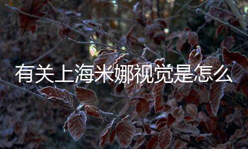有關(guān)上海米娜視覺(jué)是怎么回事?