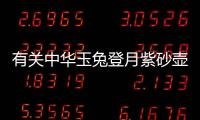 有關中華玉兔登月紫砂壺到底是怎么回事?