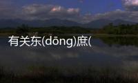 有關(guān)東(dōnɡ)庶(shù)嬰(yīnɡ)諷(fěnɡ)為什么會(huì)上熱搜?