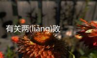 有關兩(liǎng)敗(bài)俱(jù)傷(shāng)這是怎么回事?