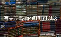 有關乘雪橇的叮叮可以這樣理解嗎?