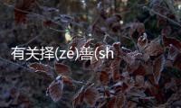 有關擇(zé)善(shàn)而(ér)從(cóng)什么情況?
