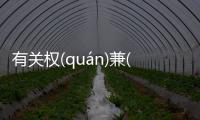 有關權(quán)兼(jiān)慧(huì)柴(chái)是真的嗎?