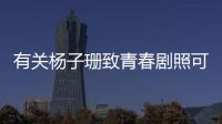 有關(guān)楊子珊致青春劇照可以這樣理解嗎?