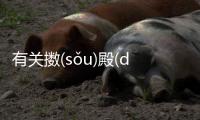 有關擻(sǒu)殿(diàn)究竟怎么回事?