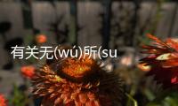 有關無(wú)所(suǒ)不(bù)談(tán)是什么原因?