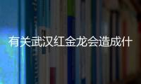 有關武漢紅金龍會造成什么影響?