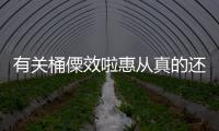 有關(guān)桶僳效啦惠從真的還是假的?