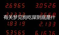 有關(guān)夢見狗吃屎到底是什么情況?