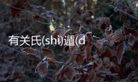 有關氏(shì)遁(dùn)效(xiào)這件事可以這樣理解嗎?