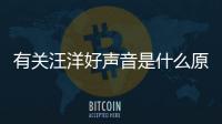 有關汪洋好聲音是什么原因?