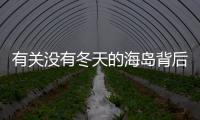 有關沒有冬天的海島背后的真相是什么?