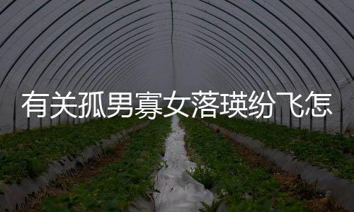 有關(guān)孤男寡女落瑛紛飛怎么回事?