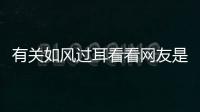 有關如風過耳看看網友是如何評論的！