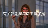 有關韓劇屋塔房王世子是怎么回事?