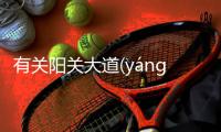 有關陽關大道(yáng guān dà dào)這件事可以這樣解讀嗎?