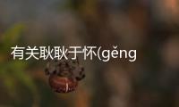 有關耿耿于懷(gěng gěng yú huái)詳情介紹！